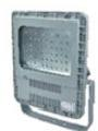 CZ0878/221B、CZ0878/221F 防爆 LED 泛光燈(寬光型、窄光型、路燈型)
